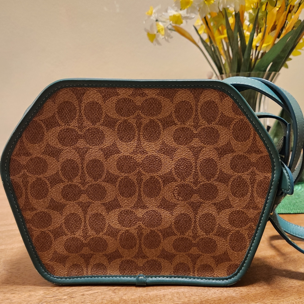Coach Brown and Teal Hexagonal Crossbody Bag